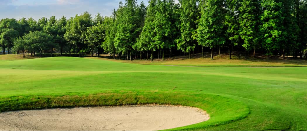 Mayso Golf Labの公式サイトの画像(2/3)